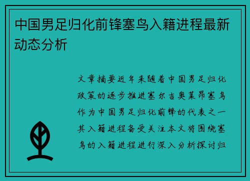 中国男足归化前锋塞鸟入籍进程最新动态分析